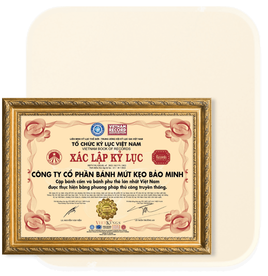 Kỷ lục Việt Nam 3